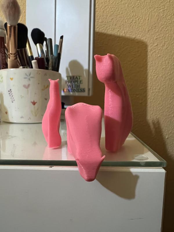 3 Little cats probably planning something devious