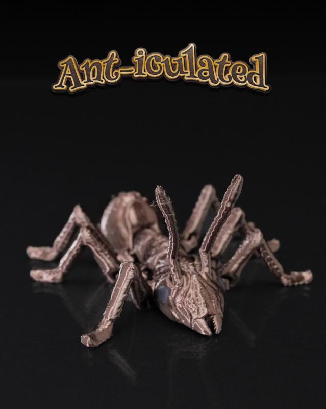 Ant-iculated