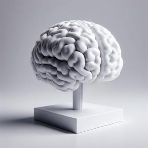 Human brain