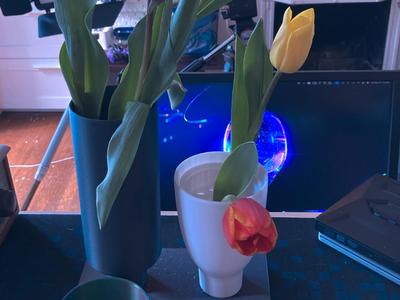 Corcelain Extended Vases