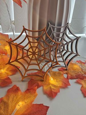 Spider Web Coasters