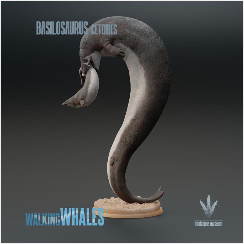 Basilosaurus cetoides : Hunting