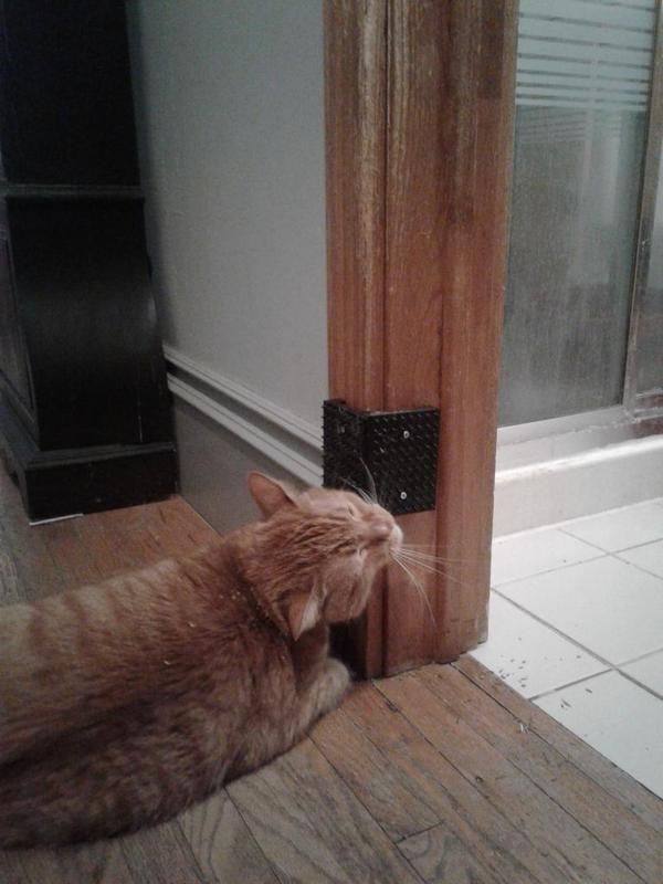 Kitty Nip Corner Scratcher