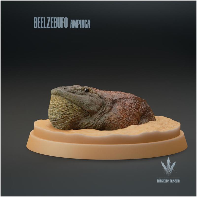 Beelzebufo ampinga : Vocalizing