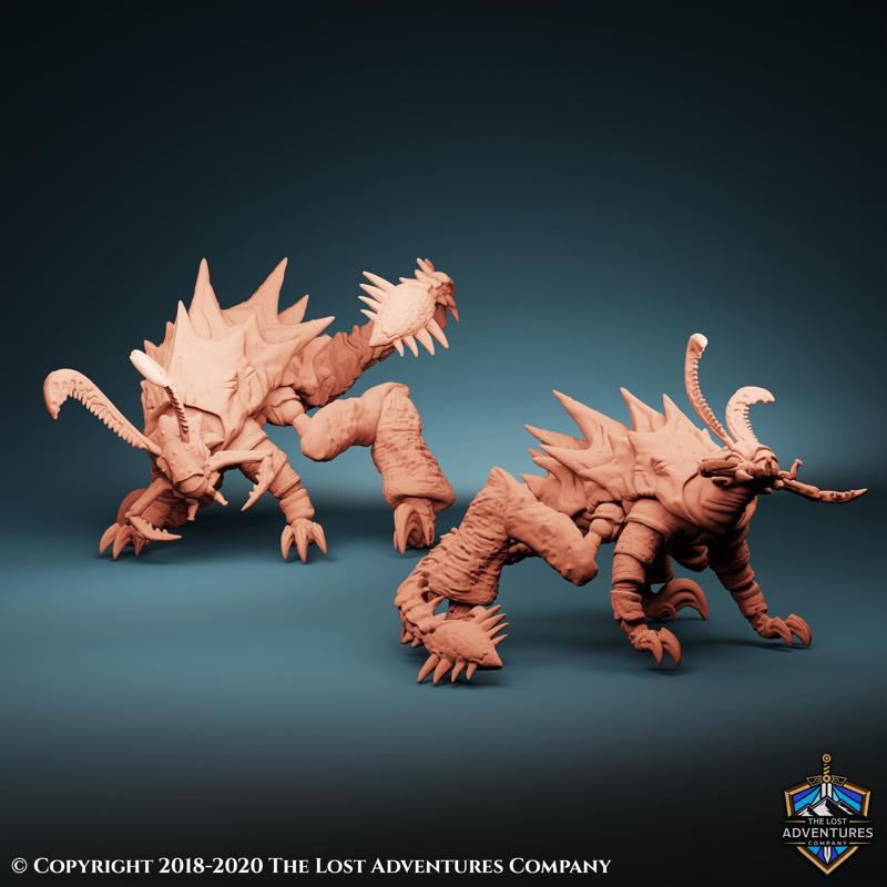 Borer Mite Warriors