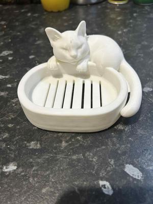 soap dish cat