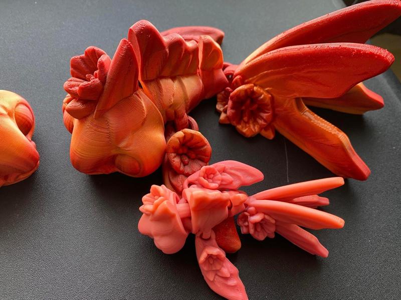 Fancy Goldfish and Apple Blossom Goldfish