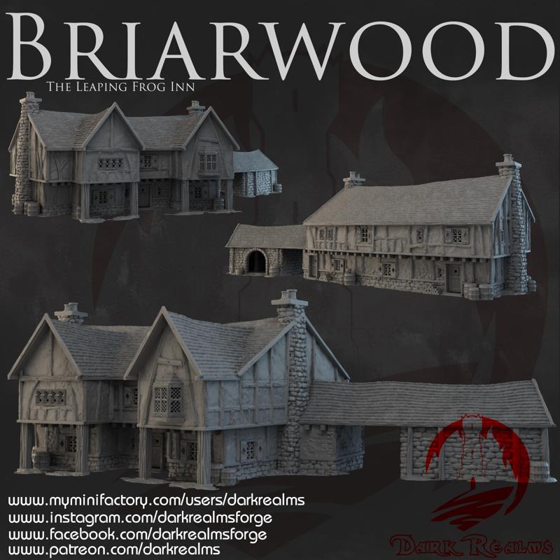 Dark Realms - Briarwood - The Leaping Frog Inn