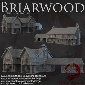 Dark Realms - Briarwood - The Leaping Frog Inn