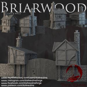 Dark Realms - Briarwood - Gate House
