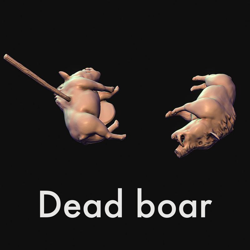 Dead boar, swine