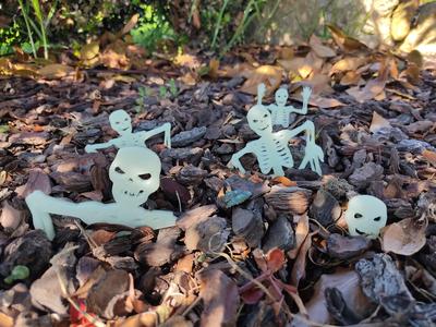 Skeletons coming out of the ground