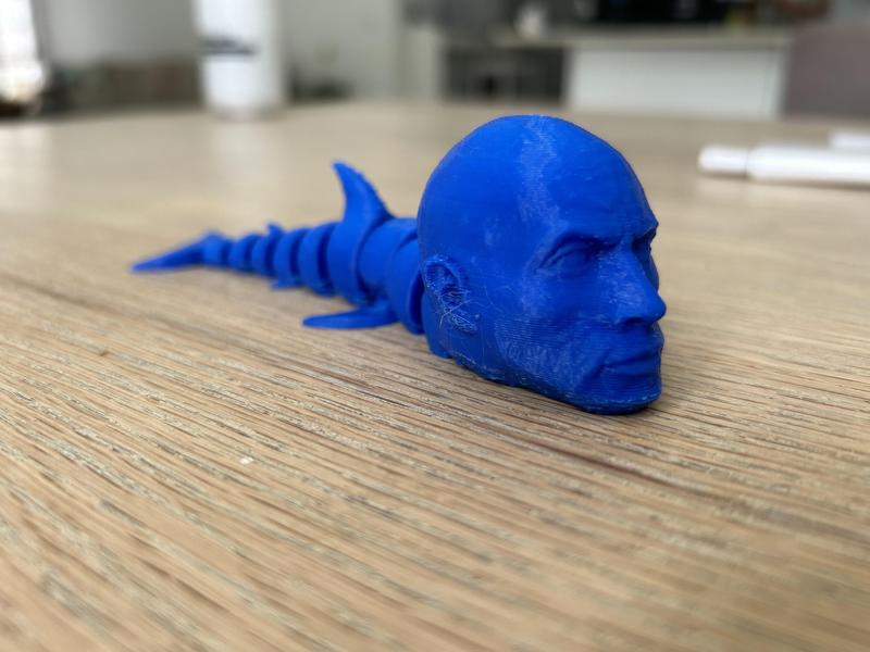 Dwayne The Shark Johnson