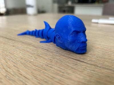 Dwayne The Shark Johnson