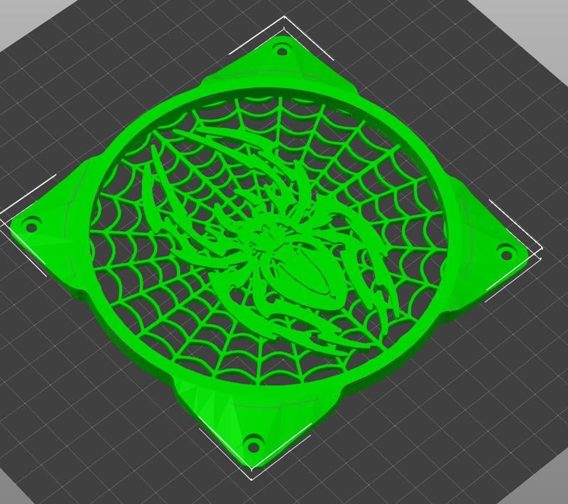 spider