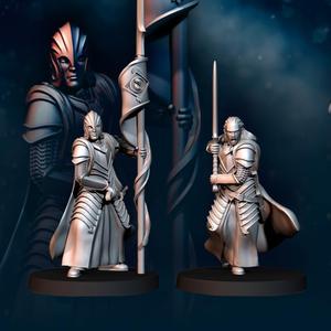 2x Bloody Elf Commander - Bloody Elves - Davale Games - Fantasy
