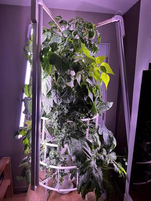 Hydroponics Tower