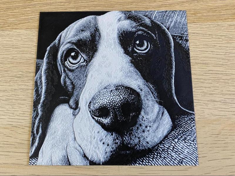 Basset Hound Portrait
