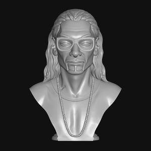 snoop dogg bust