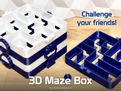 3D Maze Box (Costumizable puzzle!)