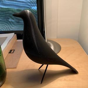 House Bird