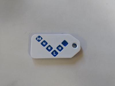 MueLu KeyTag