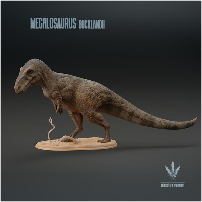 Megalosaurus bucklandii : The First Dinosaur