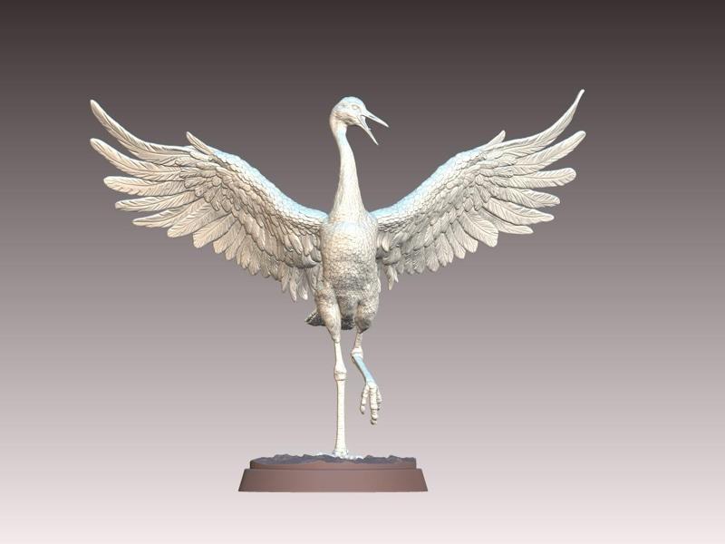 Red Crowned Crane Dancing Pose