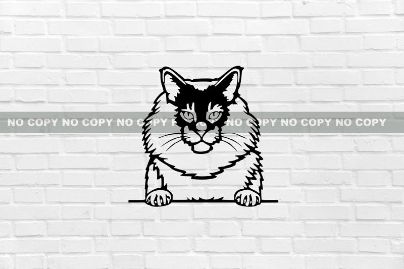 WALL DECORATION Maine Coon CAT