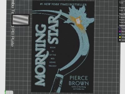 Morning Star Book Cover