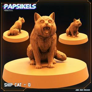 SHIP CAT - D