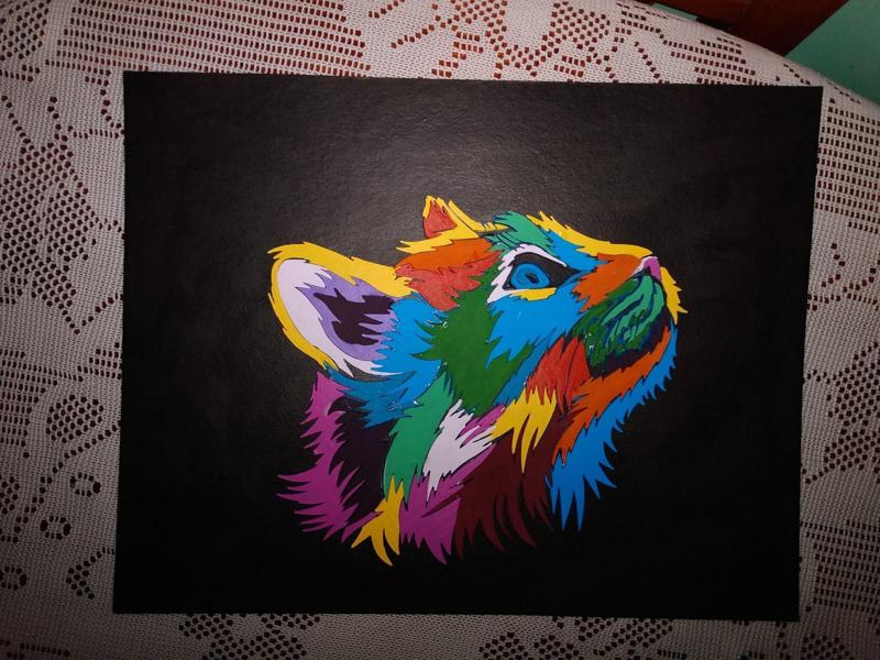 multicolored cat picture