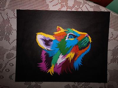 multicolored cat picture