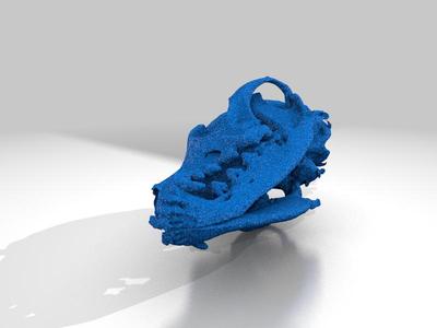Dog Skull - CT Scan