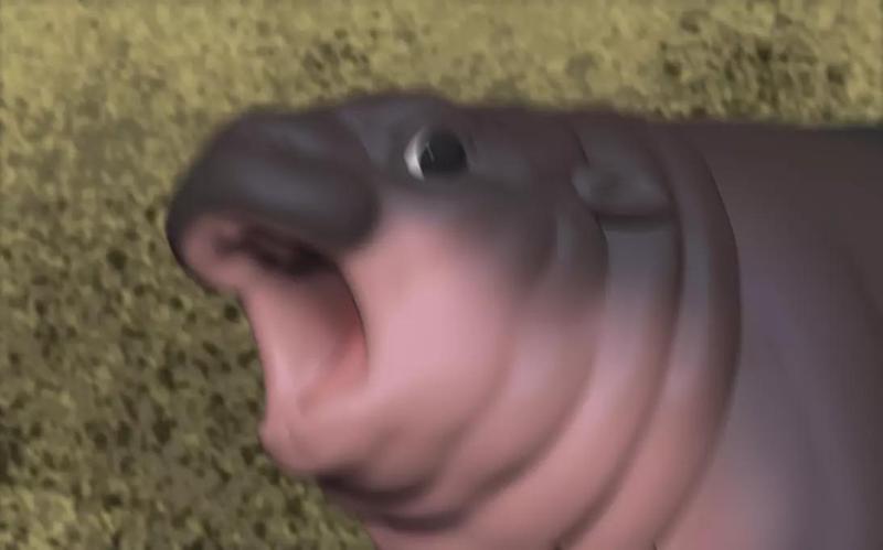 Moo Deng - Cutest Baby Hippo Ever