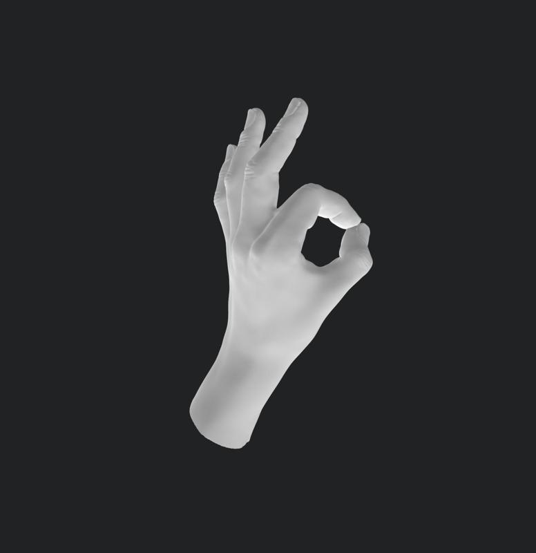 LEFT HAND OKAY HAND GESTURE