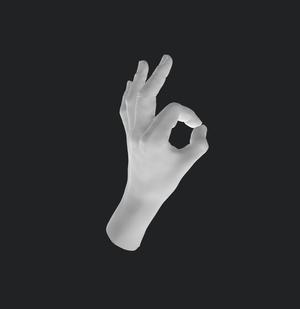 LEFT HAND OKAY HAND GESTURE