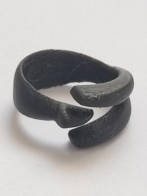 Ring Design-v1-01