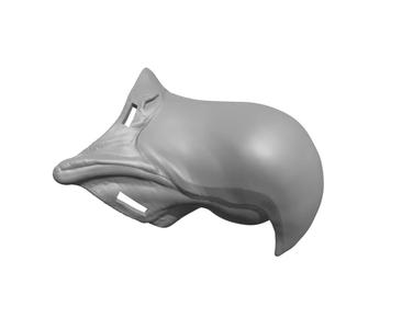 Wearable beak vulture eagle