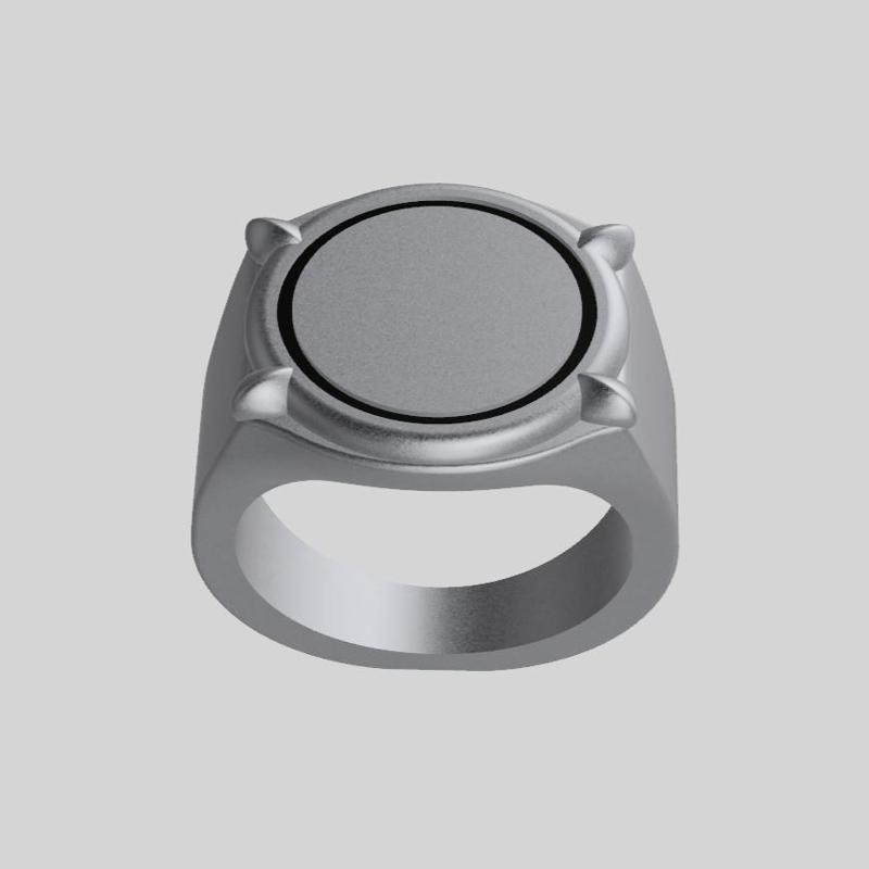 Cat Miraculous (Adrien's Camouflage)