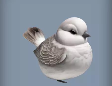 3d model of Snowy white bird in winter
