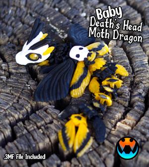 Baby Death's head Moth Dragon