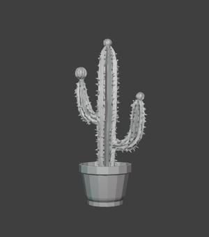 cactus