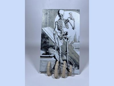 Vintage Anatomy Bidloo Hueforge