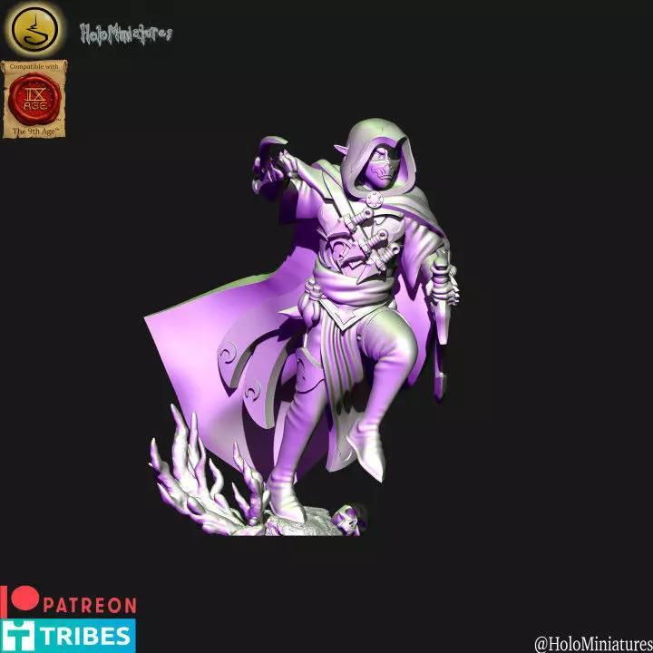 Dark elves assassin