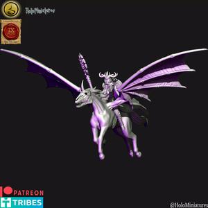 Dark elves sorceress on dark pegasus