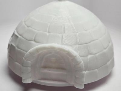 Igloo with Door