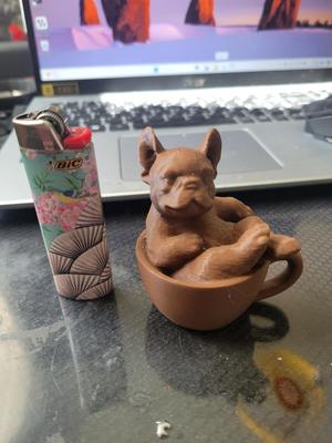 French bulldog in cup