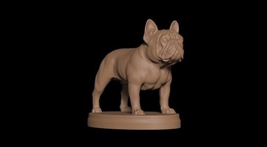 French Bulldog