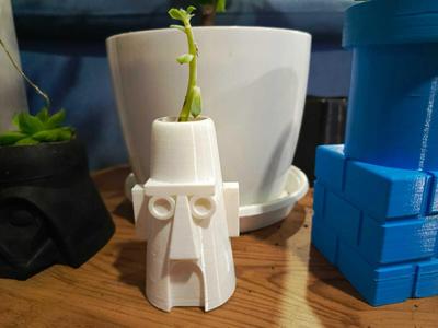 MATERA CASA CALAMARDO